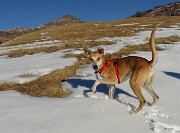 71 Anche Birra si gode la neve